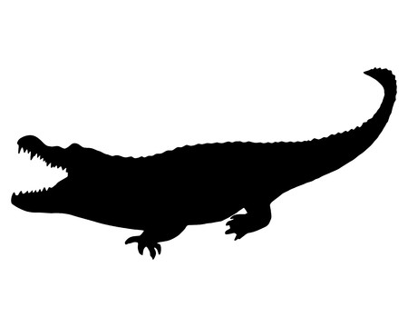 Black Alligatorのイラスト素材