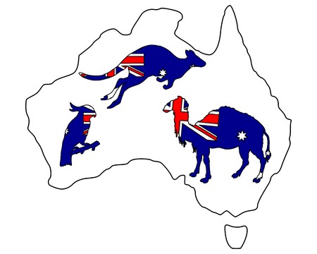 Australian animalsのイラスト素材