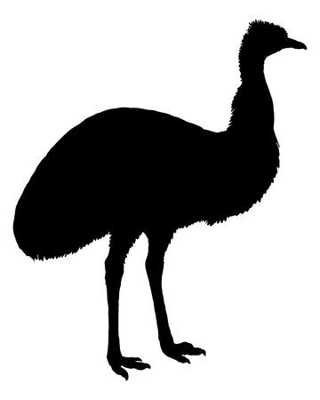 Black Emuのイラスト素材