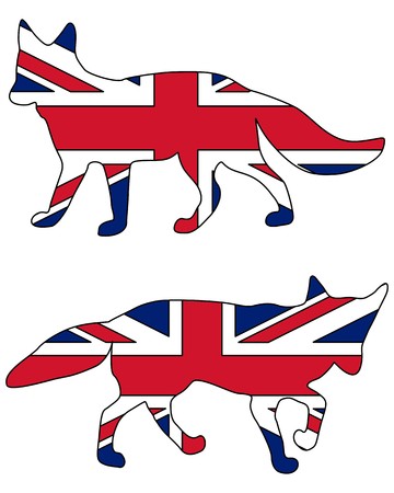 British Foxのイラスト素材