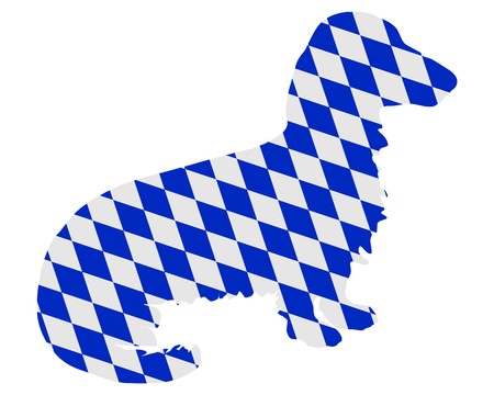 Bavarian longhaired badgerの写真素材