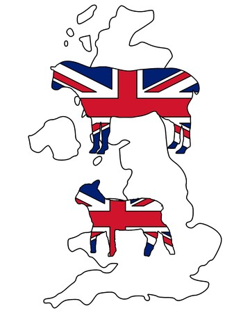 British sheepのイラスト素材
