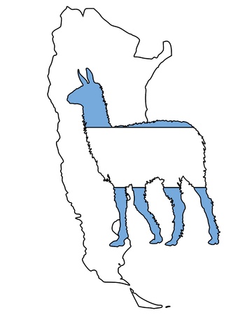 Lama Argentinaのイラスト素材