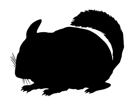 Chinchilla Silhouetteのイラスト素材