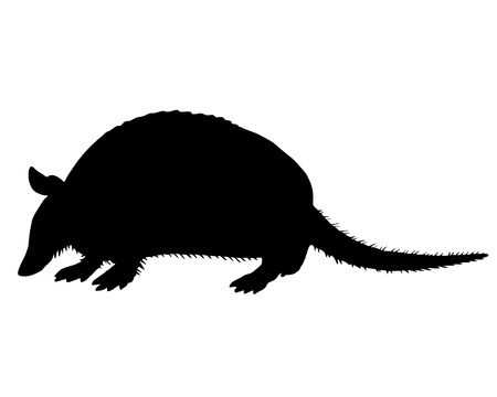 Armadillo Silhouetteのイラスト素材