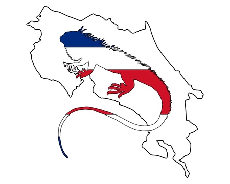 Iguana Costa Ricaの写真素材