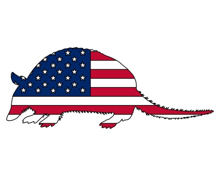 Armadillo United States of Americaの写真素材