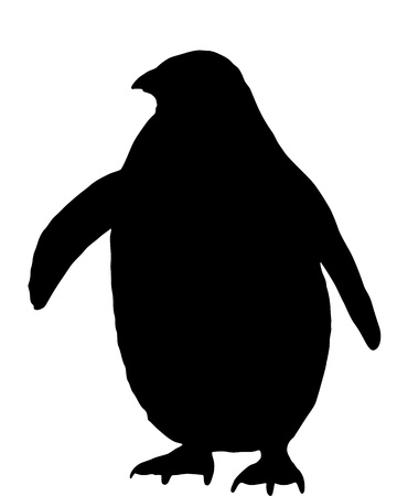Penguin Silhouetteの写真素材