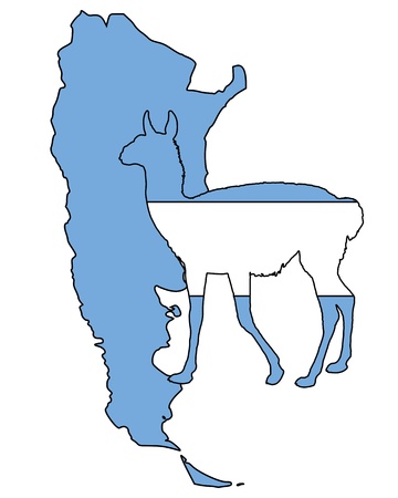 Guanaco Argentinaの写真素材