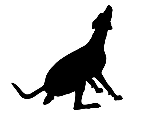 Dog trainingのイラスト素材