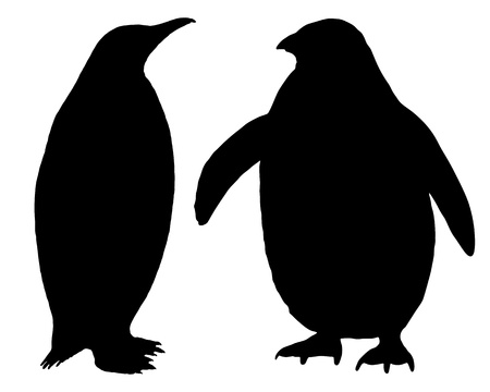 Penguin Silhouetteのイラスト素材