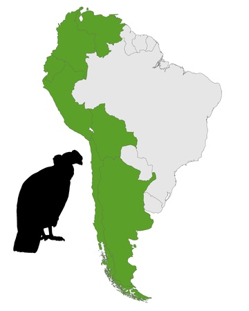 Andean Condor distributionのイラスト素材