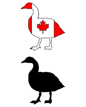 Canada goose flagのイラスト素材