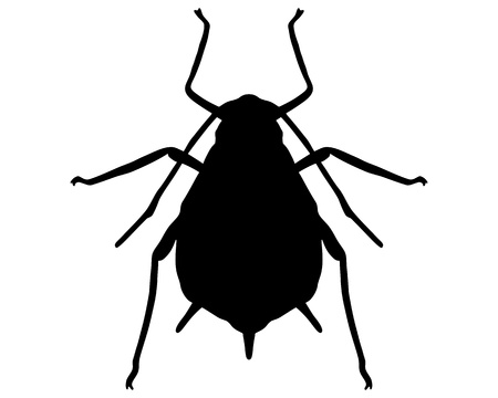 Aphid Silhouetteのイラスト素材