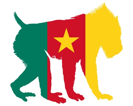 Mandrill Cameroon のイラスト素材