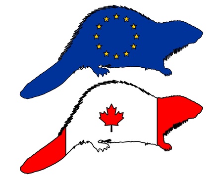 European and canadian beaverのイラスト素材