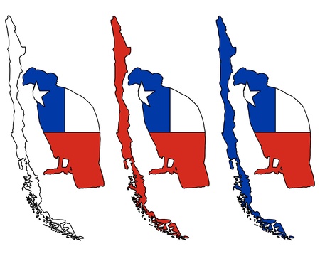 Andean Condor Chileのイラスト素材