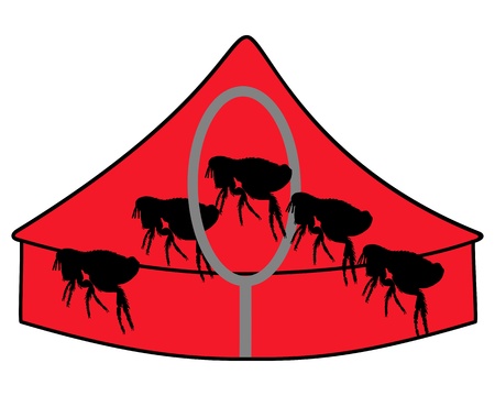 Flea circus のイラスト素材