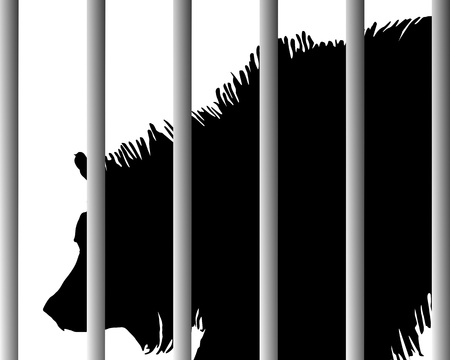 Grizzly in zoo のイラスト素材