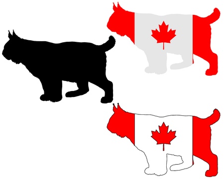 Lynx flagsのイラスト素材