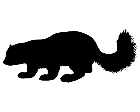 Sable silhouetteのイラスト素材