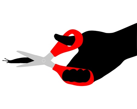 Hunting for slugsのイラスト素材