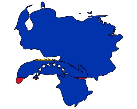 Caiman Venezuelaのイラスト素材