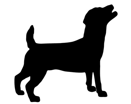 Jack Russel Terrier Silhouetteの写真素材