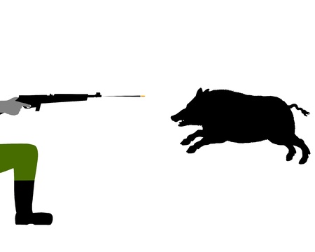 Boar huntingのイラスト素材