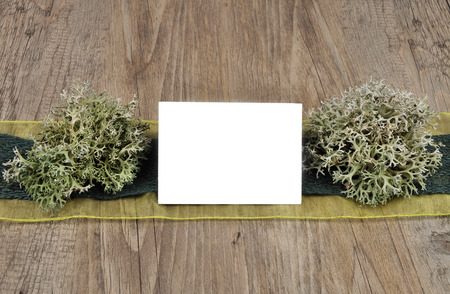 Autumnal backgroundの写真素材