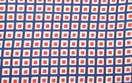 Cloth with checks