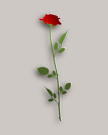 Rose paper styleのイラスト素材