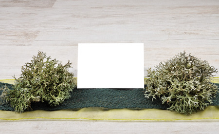 Autumnal backgroundの写真素材