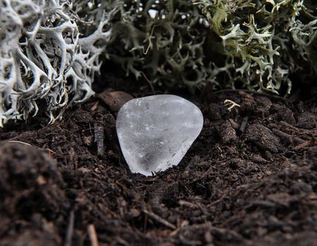 Rock crystal on forest floorの写真素材
