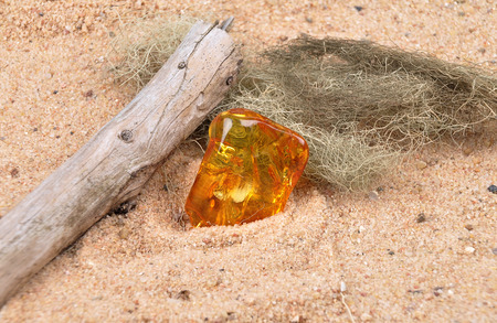 Amber on beach