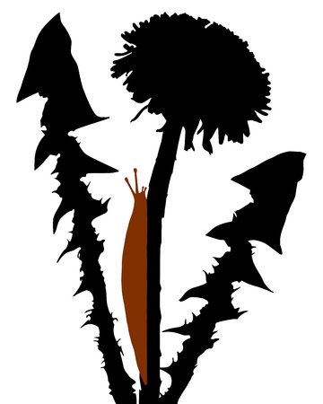Slugs on dandelionのイラスト素材