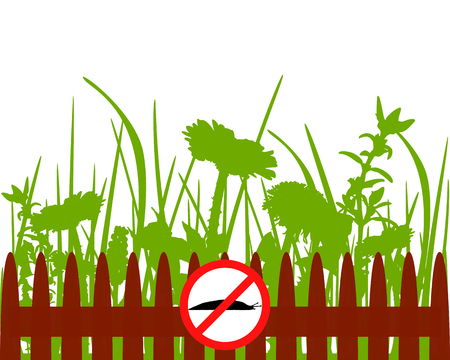 Traffic signs for slugsのイラスト素材