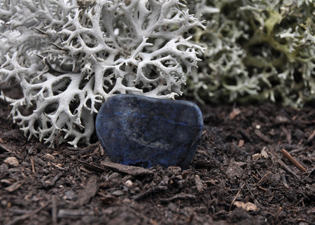 Dumortierite on forest floor