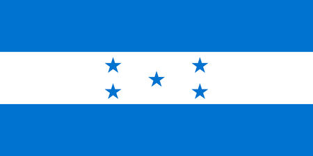 Colored flag of Hondurasのイラスト素材