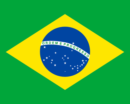 Colored flag of Brazilのイラスト素材