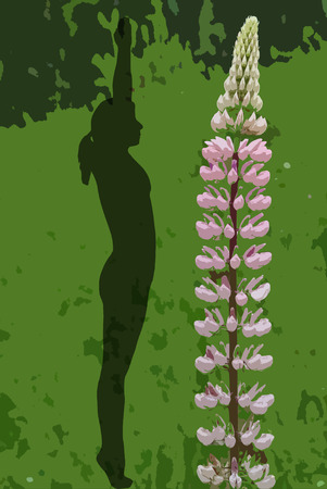 Woman with lupine in yoga positionの写真素材