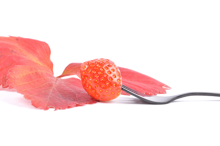 Strawberry on fork and whiteの写真素材
