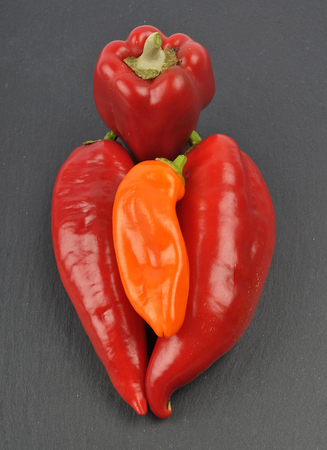 Ball pepper on slateの写真素材