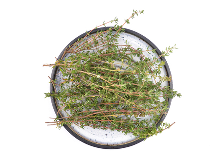 Thymus stems on plateの写真素材