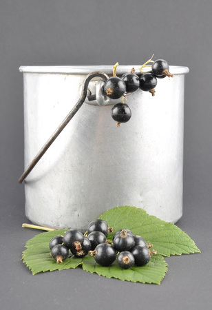 Blackcurrant with tin bucket on black backgroundの写真素材
