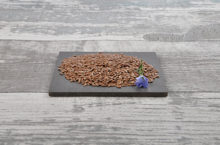 Linseed and common flax on shale and weathered woodの写真素材