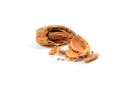 Almond cracked on white