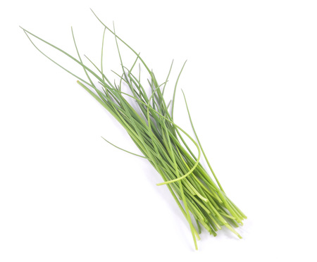 Chives on white background