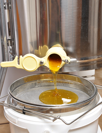 Honey from extracter into sieveの写真素材
