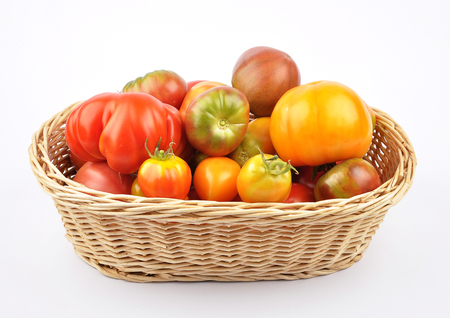 Harvest basket with tomatoes on white backgroundの写真素材